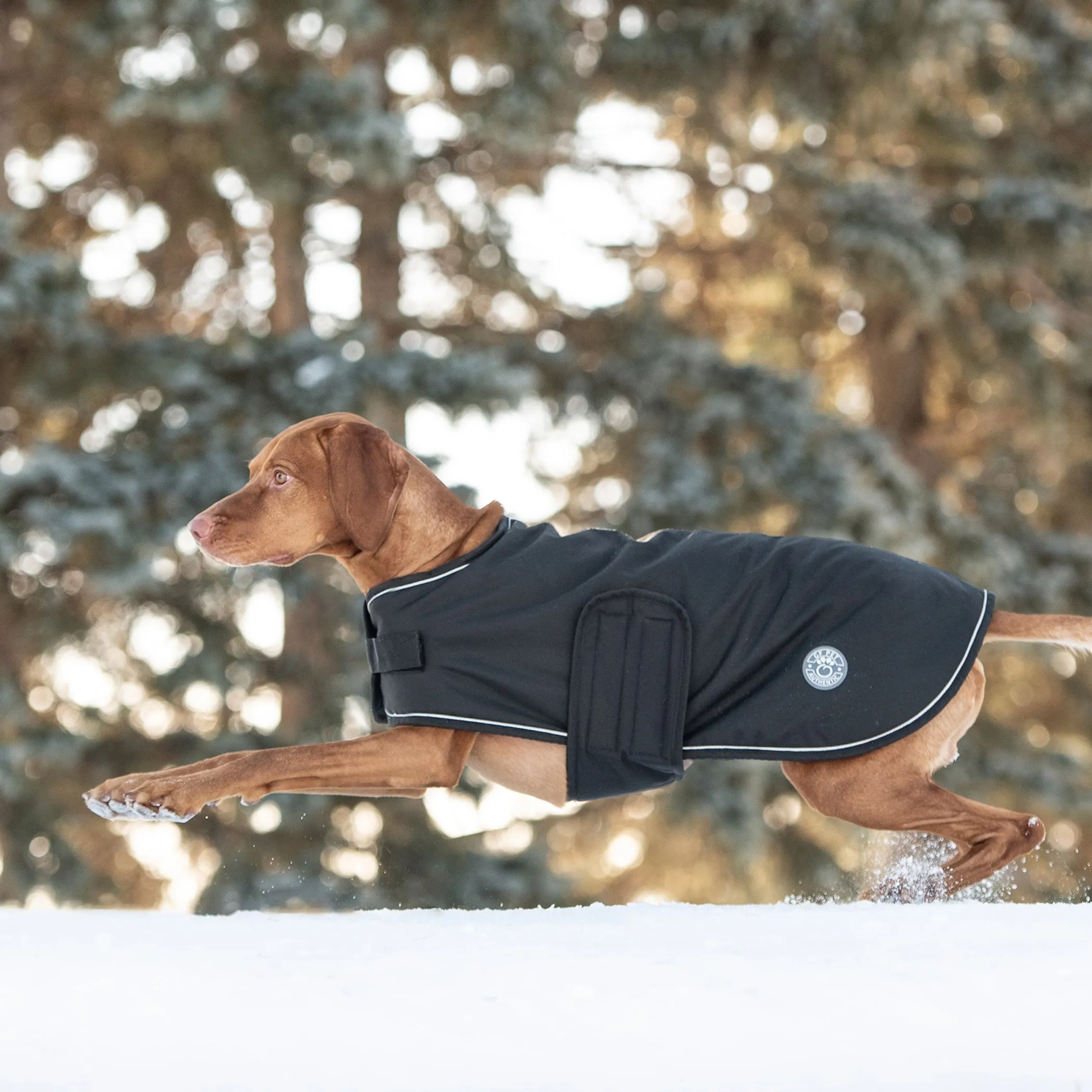 GF Pet Dog Blanket Jacket - Image 5