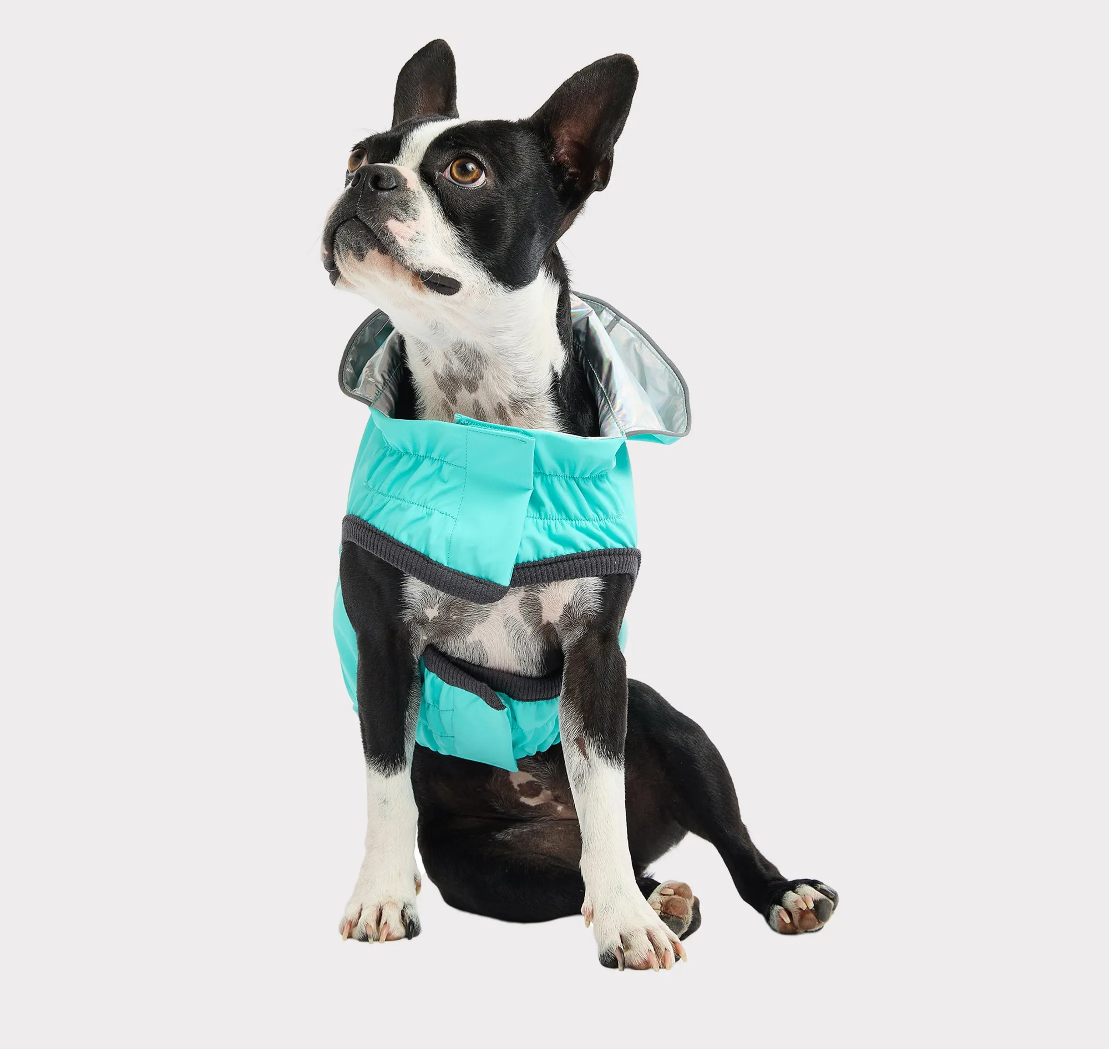 GF Pet Reversible Raincoat - Image 2