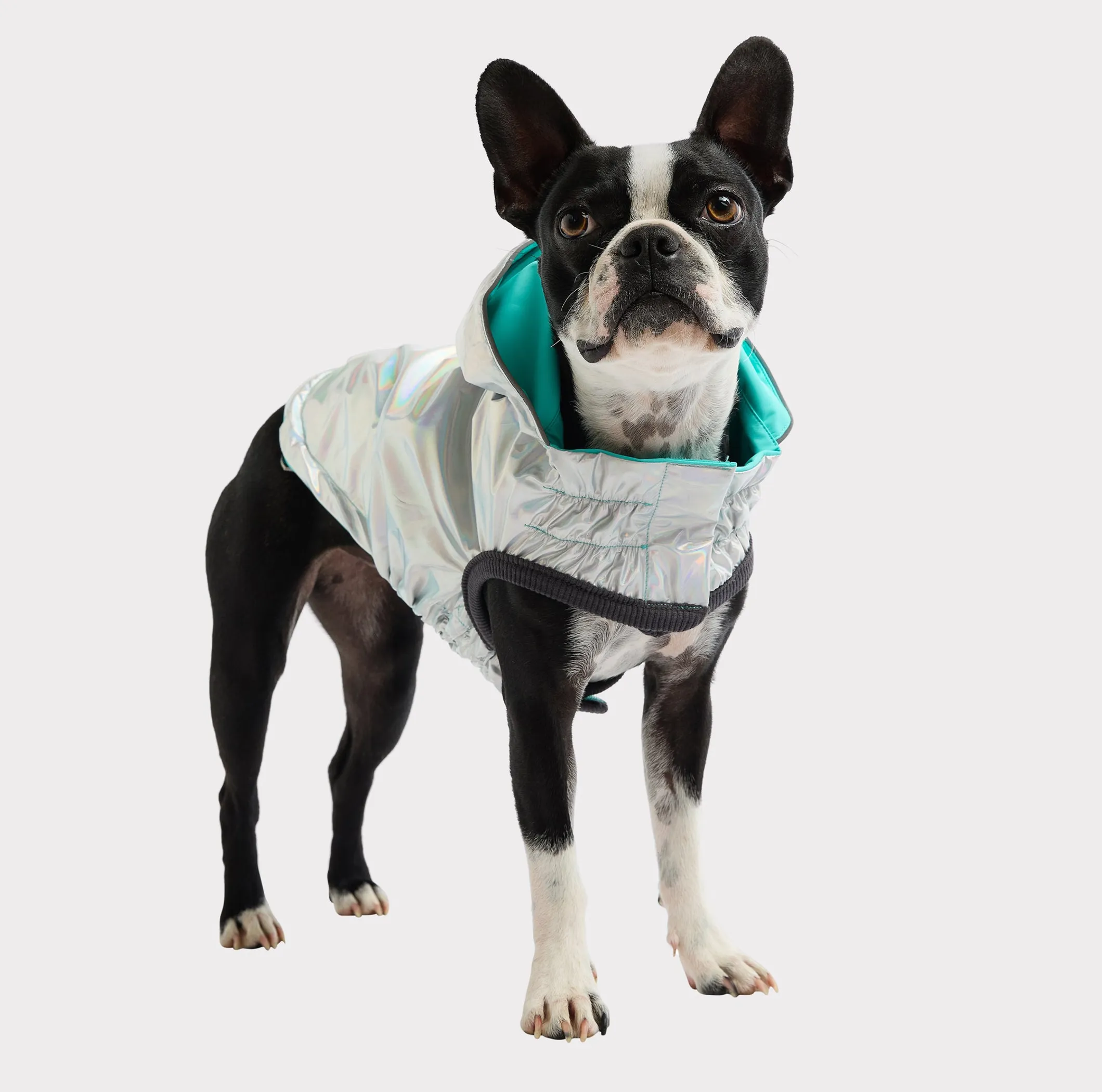 GF Pet Reversible Raincoat - Image 3