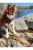Sierra Sunrise Vegan Leather Dog Leash