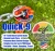 QuicK-9 – Dual Swivel Double Dog Tie Out Stake
